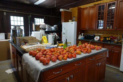 Peter's tomatoes are the sweetest, juiciest tomatoes I have ever had! I eat them everyday during the season. 